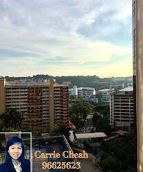 Dover Parkview (D5), Condominium #514685491